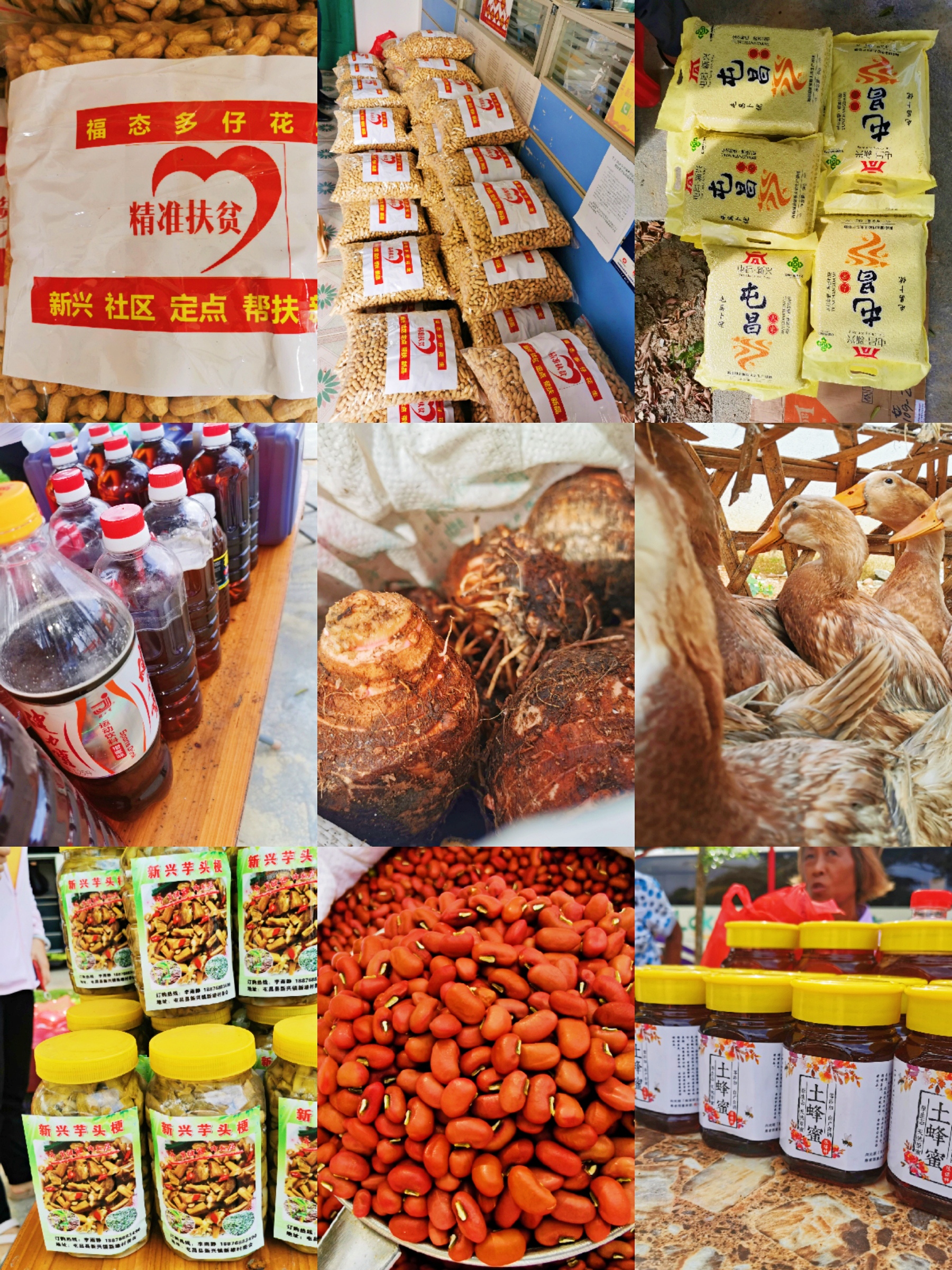 SG·亚洲胜游(中国区)官方网站_首页|迎接您!