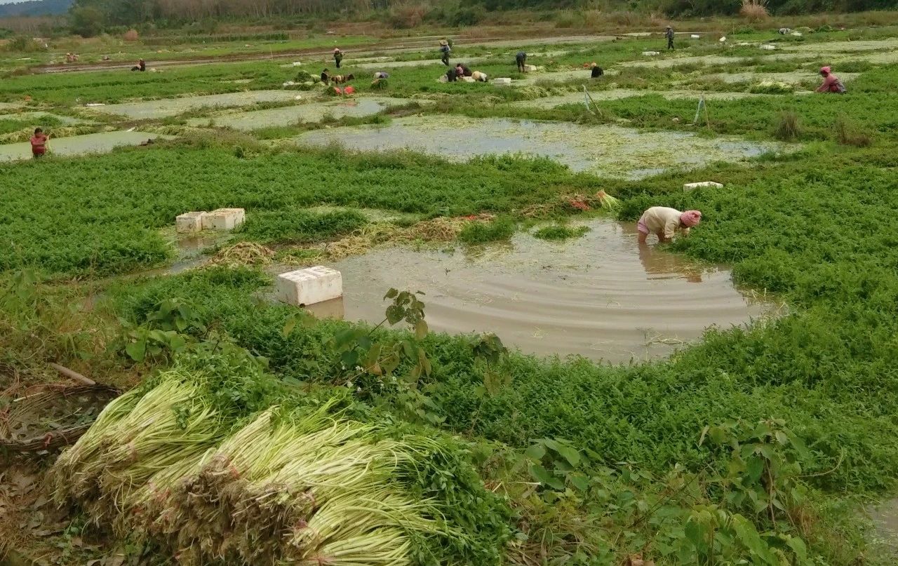SG·亚洲胜游(中国区)官方网站_首页|迎接您!