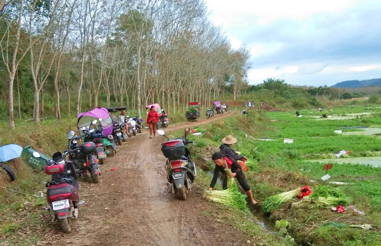 SG·亚洲胜游(中国区)官方网站_首页|迎接您!