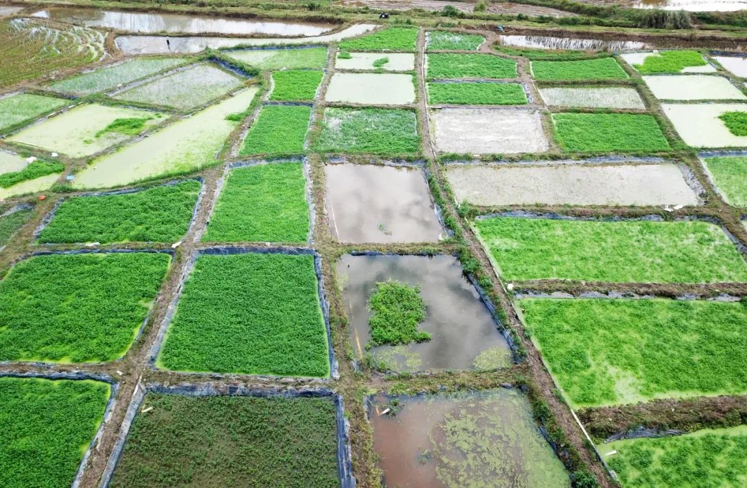 SG·亚洲胜游(中国区)官方网站_首页|迎接您!